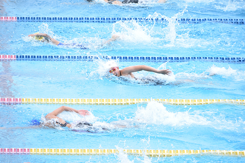 イベントの企画・制作・運営